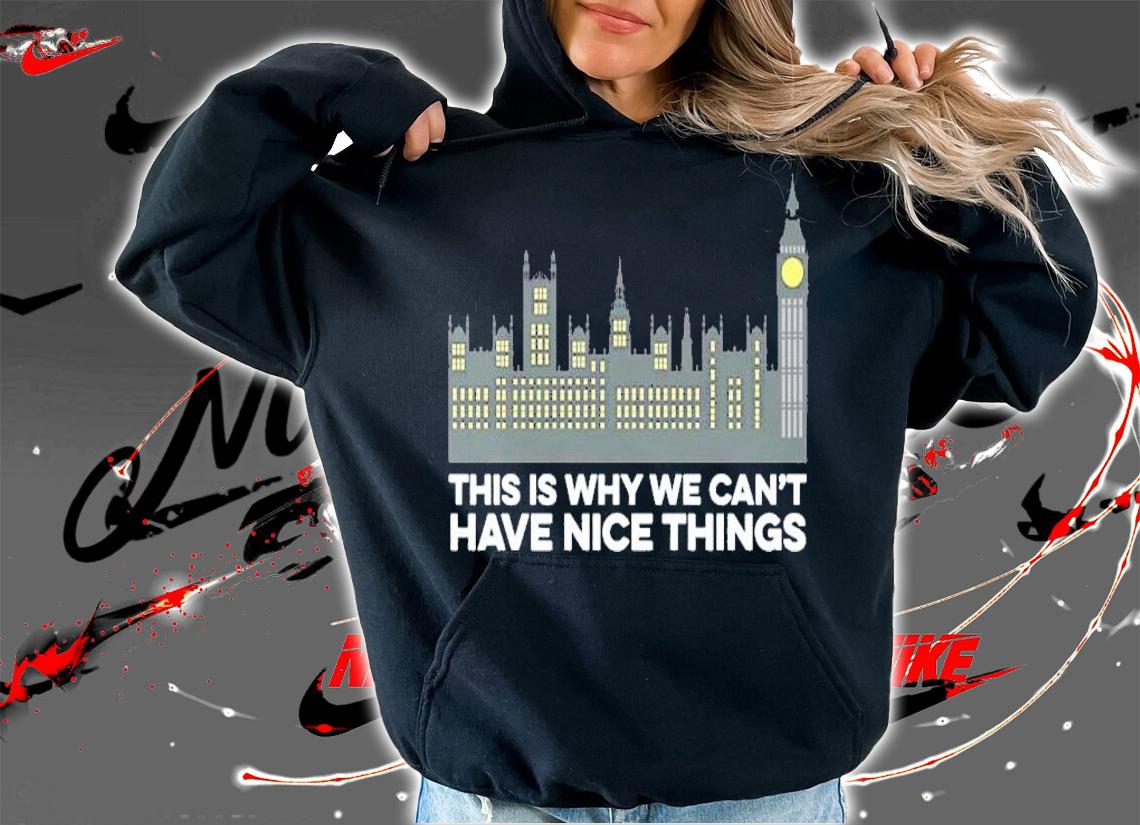This is why we can't have nice things shirt hoodie