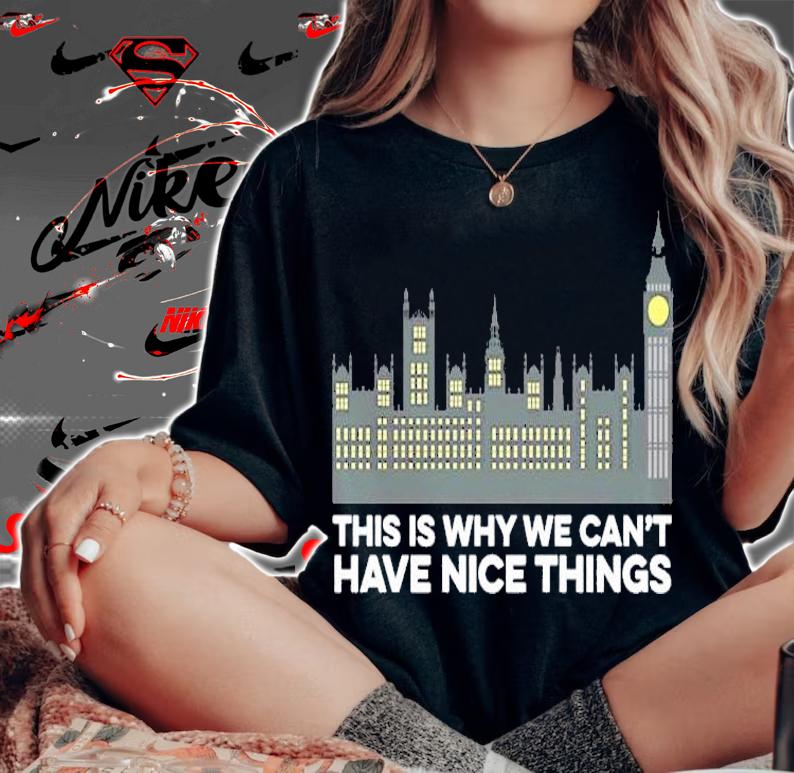 This is why we can't have nice things shirt woman shirt